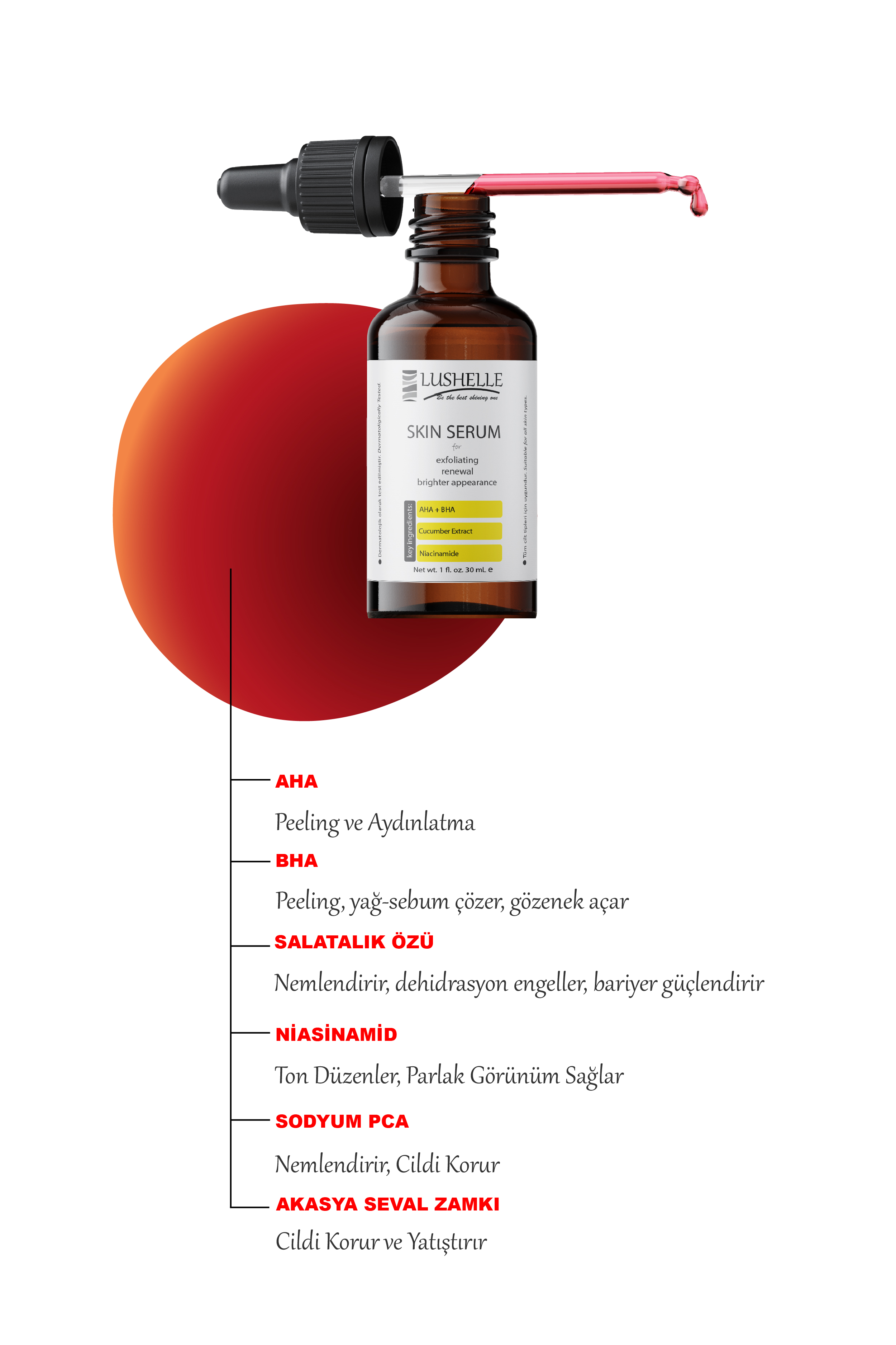 Text